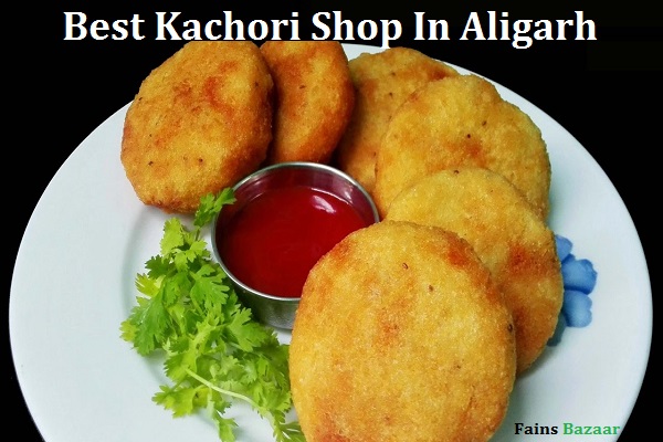 NANNU'S THE TASTE | BEST KACHORI SHOP | ALIGARH-FAINS BAZAAR